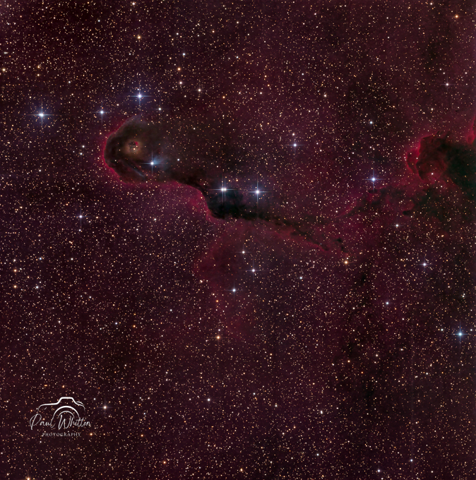 Elephant_Trunk_Nebula